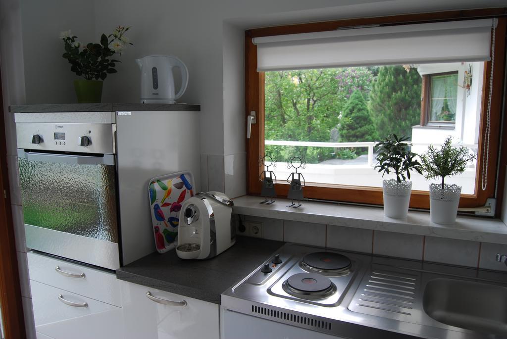 リエンツFerienhaus Plattnerアパートメント 部屋 写真